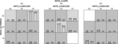 Genotype-Environment Interaction Analysis of NQO1, CYP2E1, and NAT2 Polymorphisms and the Risk of Childhood Acute Lymphoblastic Leukemia: A Report From the Mexican Interinstitutional Group for the Identification of the Causes of Childhood Leukemia